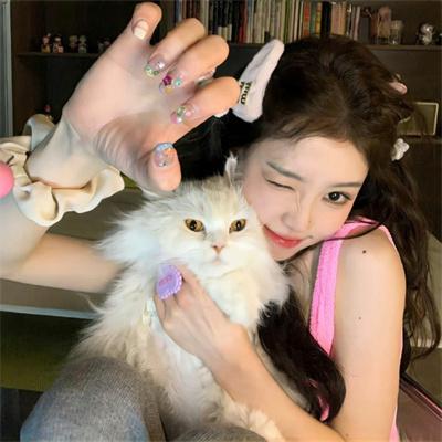 孤独的美食家 第七季